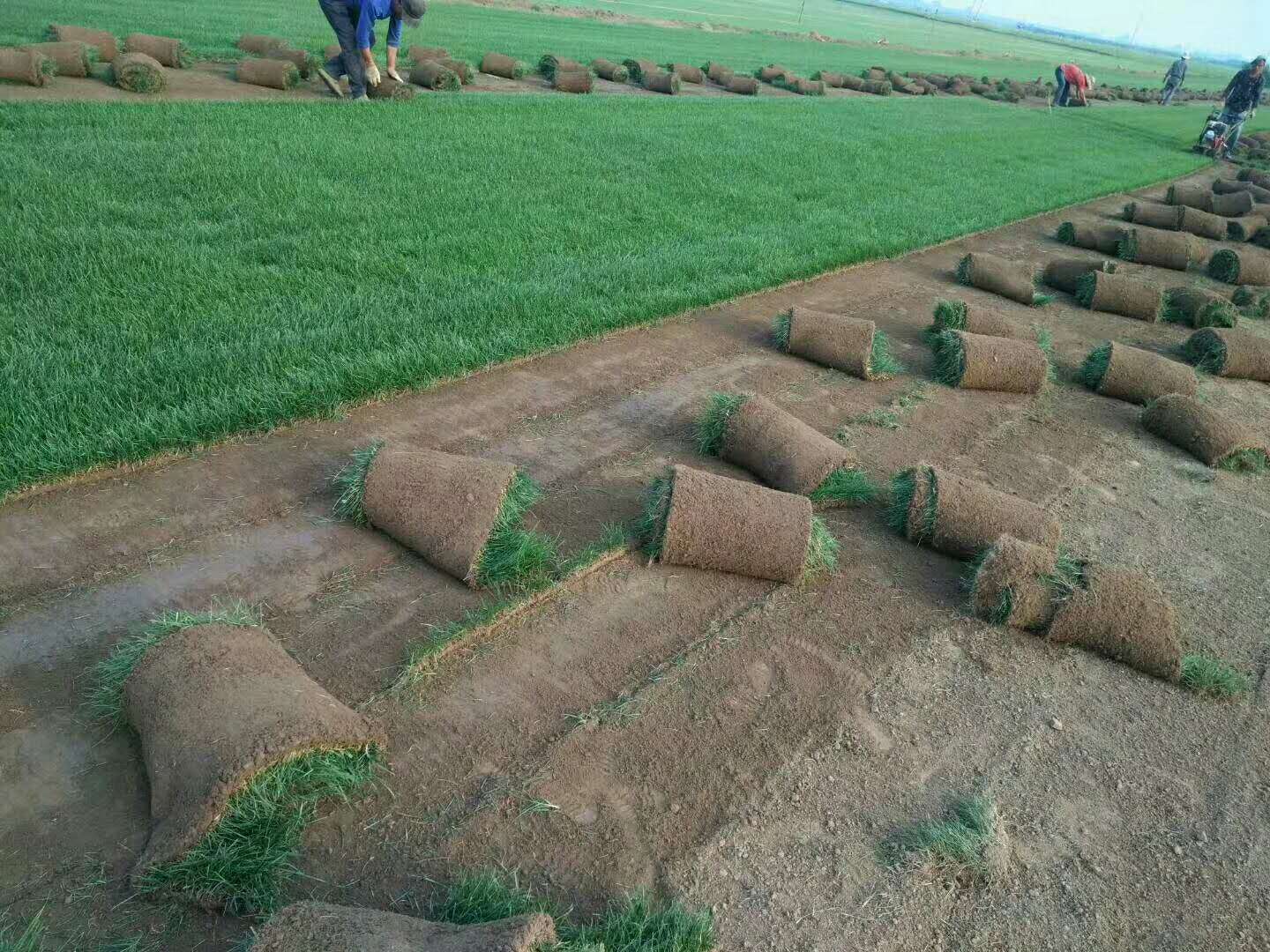 HTH官网登录网址入口