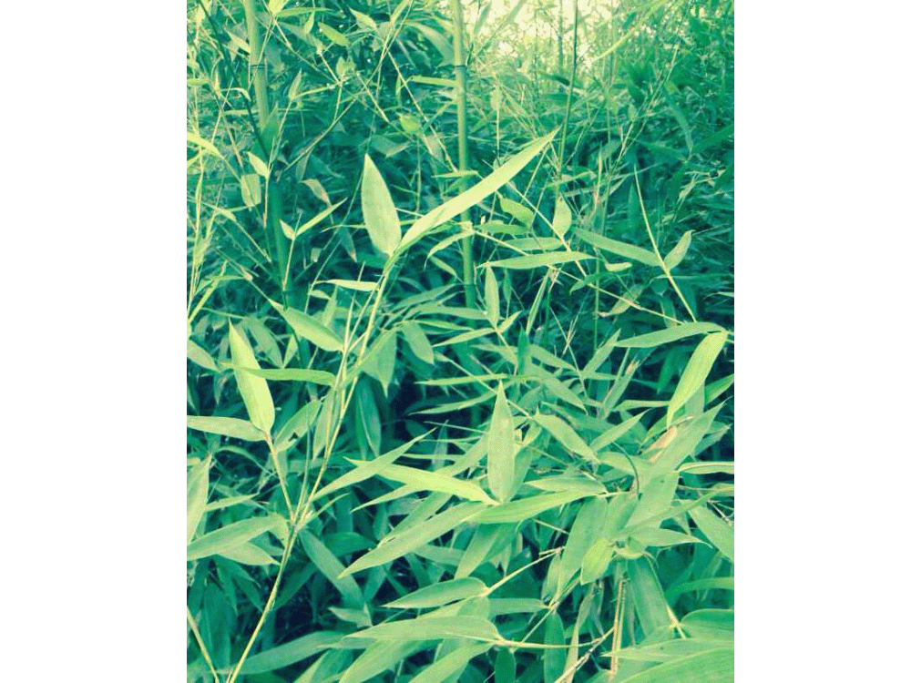 HTH官网登录网址入口